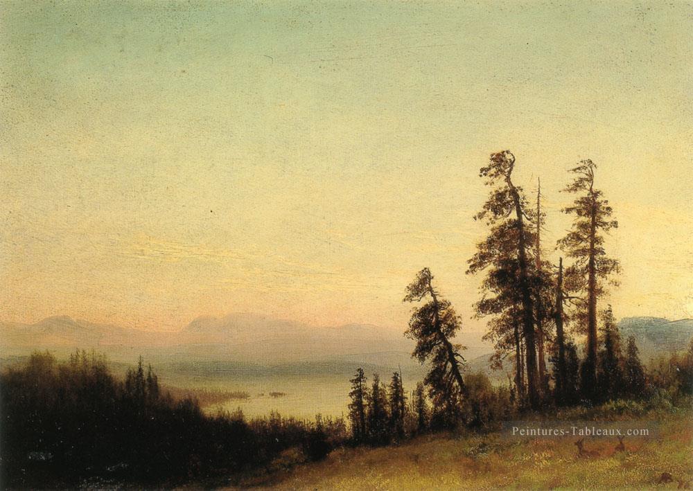 Paysage avec Deer Albert Bierstadt Peintures à l'huile